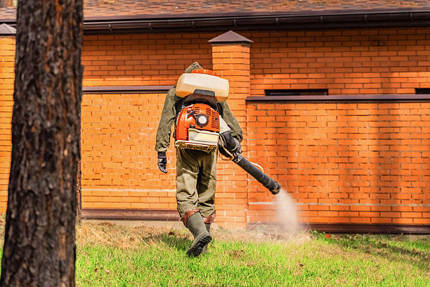 Bed Bug Clearance Verification and Documentation in Johnson City
